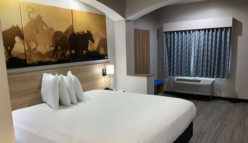 Efficiency, Habitación estándar, 1 cama de matrimonio grande
