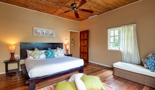 Habitación Premier (Jungle Lodge)
