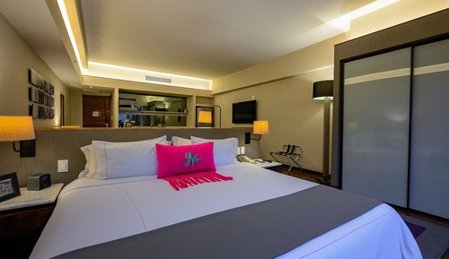 Suite ejecutiva, 1 cama de matrimonio grande
