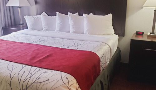 Suite estudio, 1 cama de matrimonio grande