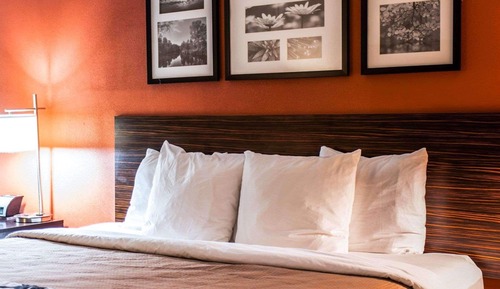 Habitación estándar, 1 cama de matrimonio grande, no fumadores