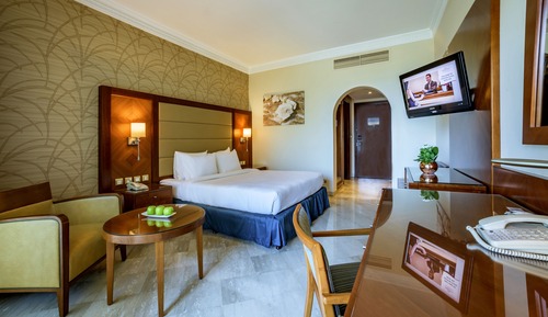 Habitación estándar, 1 cama de matrimonio grande