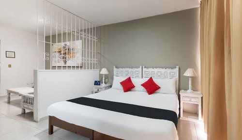 Suite estudio Deluxe