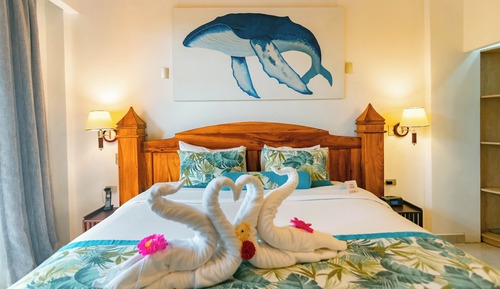 Suite Ballena