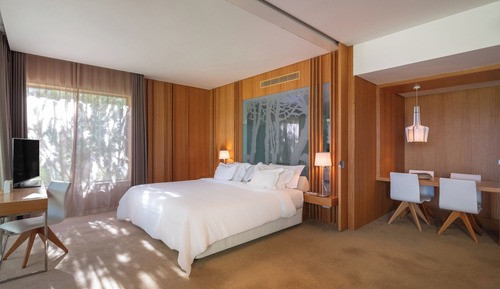 Suite, 1 cama de matrimonio grande