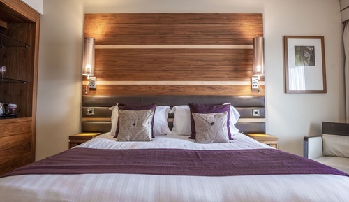 Habitación Deluxe con 2 camas individuales