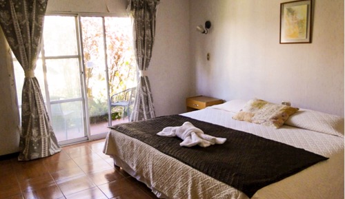 Habitación estándar, vistas al jardín