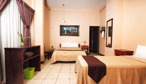 Bed in Shared Mixed Dormitory