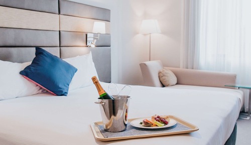 Habitación estándar, 1 cama de matrimonio grande