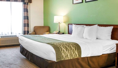 Habitación estándar, 1 cama de matrimonio grande, no fumadores