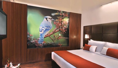 Suite, 1 cama doble, no fumadores