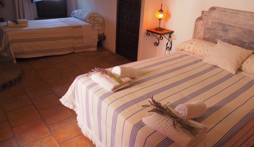 Habitación básica con 1 cama doble o 2 individuales, 2 camas individuales, chimenea, vistas al patio