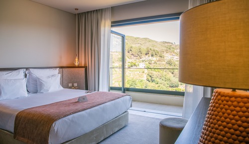 Habitación Deluxe doble, vistas al viñedo