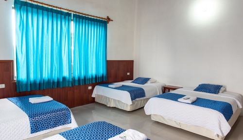 Habitación cuádruple