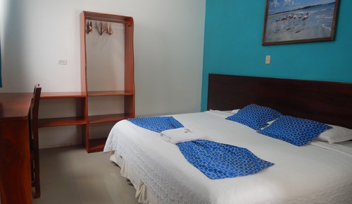 Habitación individual básica, 1 cama de matrimonio grande