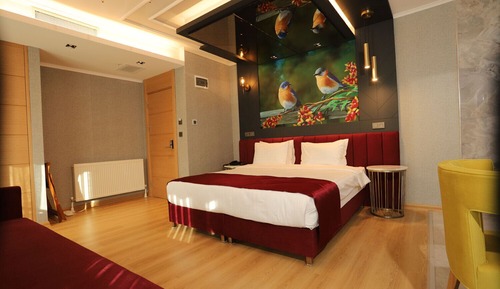 Habitación Deluxe doble