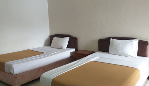 Habitación ejecutiva con 1 cama doble o 2 individuales
