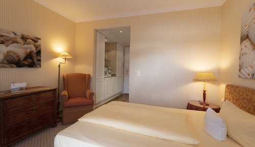 Estudio, 1 cama de matrimonio, vistas a la ciudad
