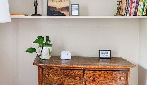 Habitación (Fern)