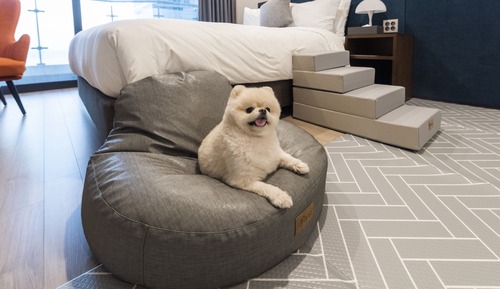 Habitación Deluxe doble (Pet Friendly)