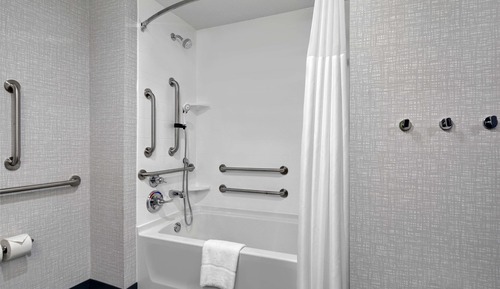 Suite, 1 cama de matrimonio grande, accesible para personas con discapacidad (Hearing)