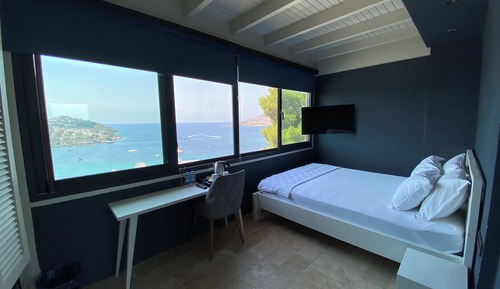 Deluxe Room 111