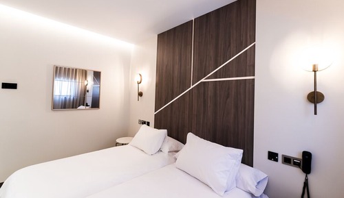 Habitación clásica con 2 camas individuales (Ansares)