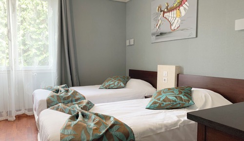 Habitación Deluxe con 2 camas individuales