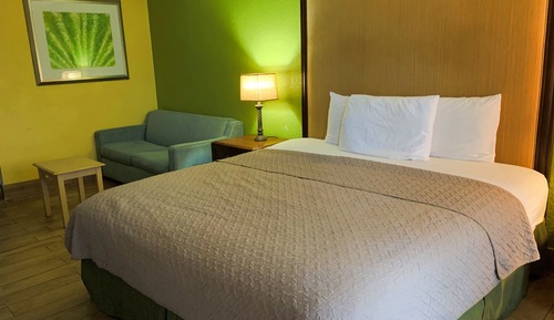 Habitación básica, 1 cama de matrimonio grande