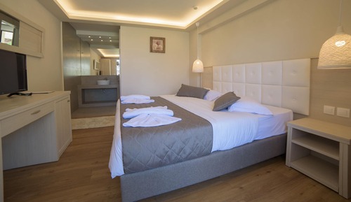 Deluxe Swim-Up Room