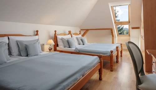 Habitación cuádruple (attic)