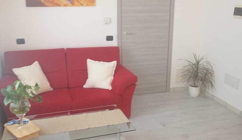 Suite estudio junior