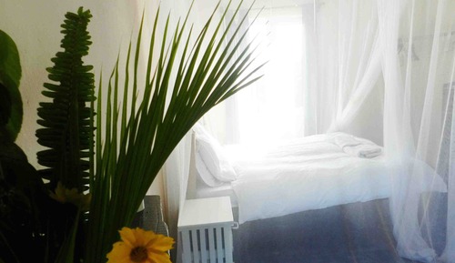 Bungalow Deluxe, 1 cama de matrimonio grande, balcón, vistas a la piscina