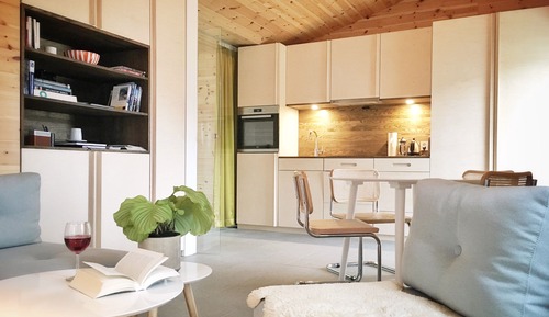 Apartamento estándar, baño privado, vistas a la montaña (Apartment 01 )