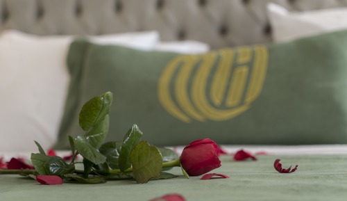 Suite junior, 1 cama de matrimonio grande con sofá cama