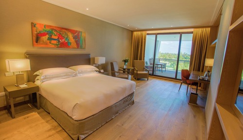 Suite presidencial, 1 cama de matrimonio grande