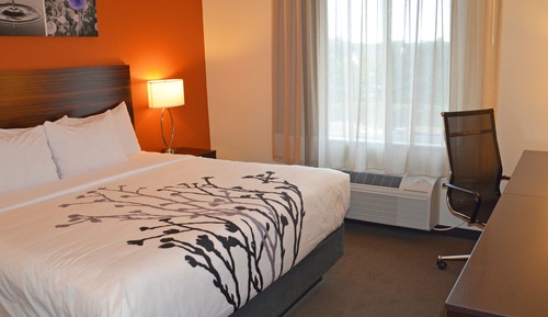 Habitación estándar, 1 cama de matrimonio grande, no fumadores