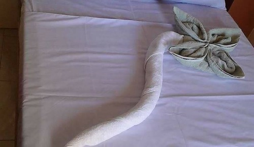 Habitación estándar doble