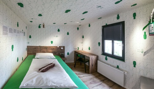 Habitación individual Confort (4)