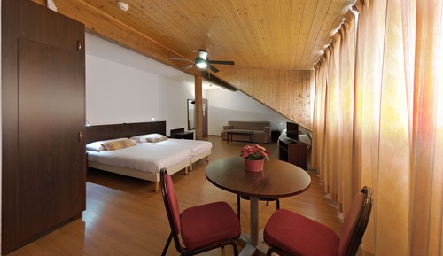 Habitación clásica doble de uso individual, 1 cama individual, no fumadores