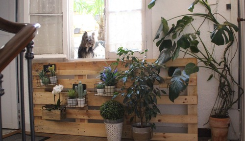 Habitación estándar doble, terraza (1er étage )