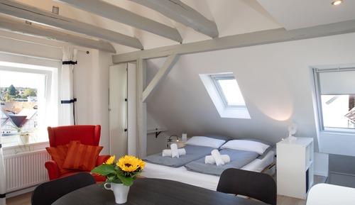 Estudio, 1 cama doble con sofá cama