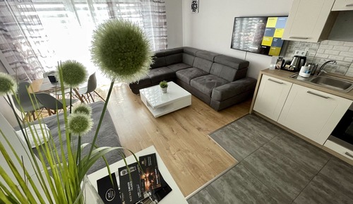 Habitación básica con 1 cama doble o 2 individuales