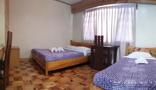 Mini Executive Room