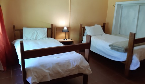 Pumba's Place twin (Backpackers)