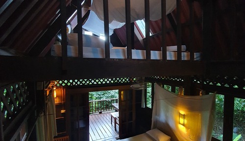 Treehouse Quad
