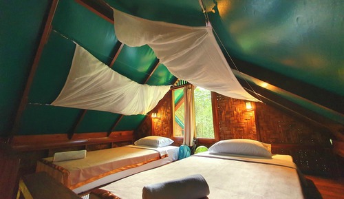 Casa en un árbol (Loft)