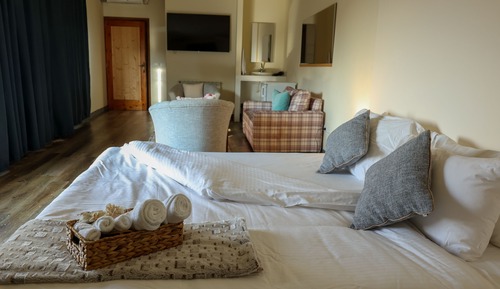Suite junior, 1 cama de matrimonio grande
