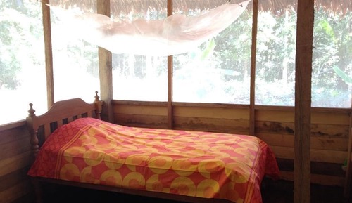Habitación (Selva 1)