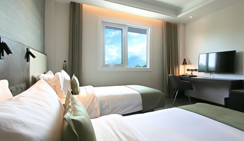Deluxe Twin Mayon View (Two Single Bed)